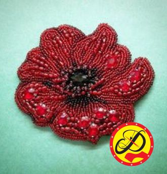 KẾT CƯỜM ĐẦM